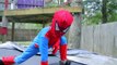 Little Heroes Kid Deadpool vs Venom Superheroes in Real Life | SuperHero Kids Fight Water