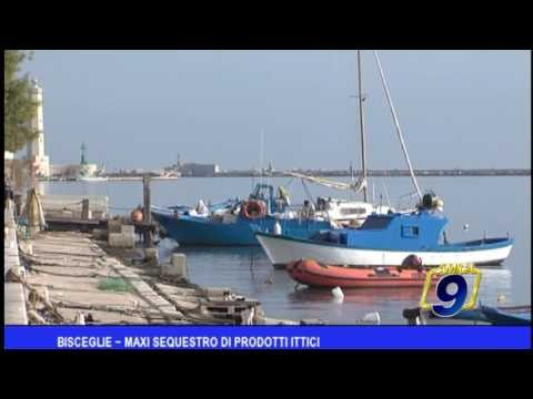 Bisceglie | Maxi sequestro di prodotti ittici