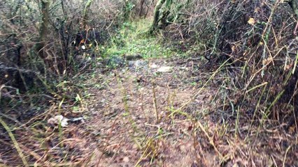 Journée préparation 39 éme enduro des châtaignes à privas