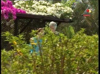 مسلسل نجمة الجماهير - الحلقة 21