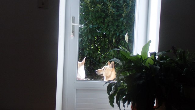 Princess sait ouvrir les portes...