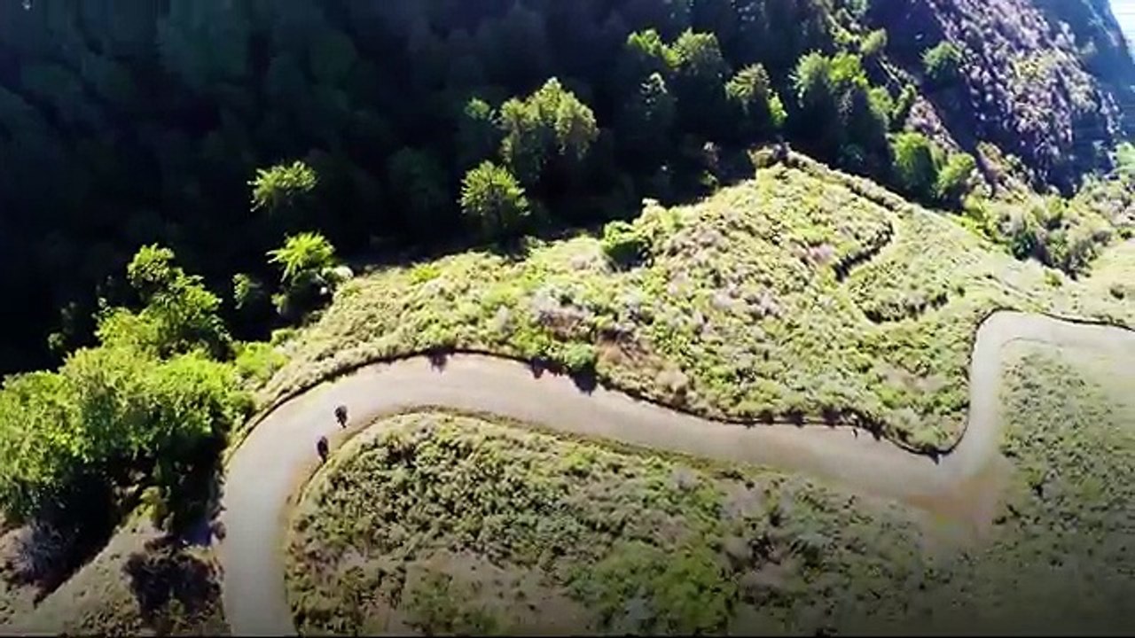 Kawasaki Versys-X-300 MY17