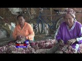 Pasokan Tersendat, Harga Bawang Merah di Maluku Meroket - NET16