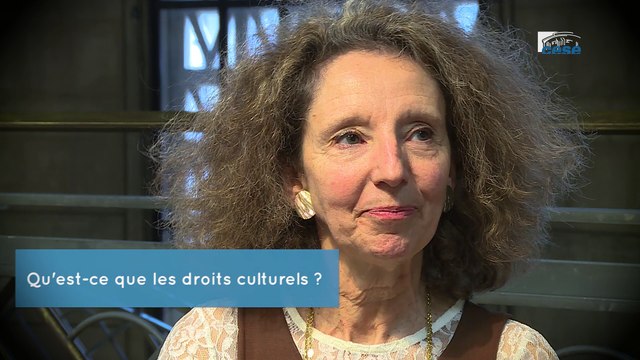 Questions à Sylvie PEBRIER ( Ministère culture et communication) - démocratie culturelle - cese