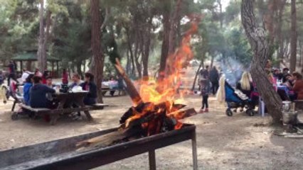 Toros Dağları'nın Eteklerinde Piknik Keyfi