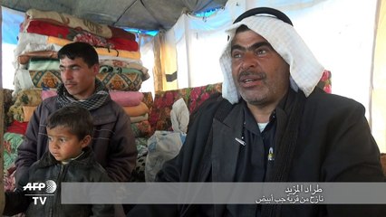 هاربون من المعارك في شمال سوريا يحتمون تحت اشجار الزيتون