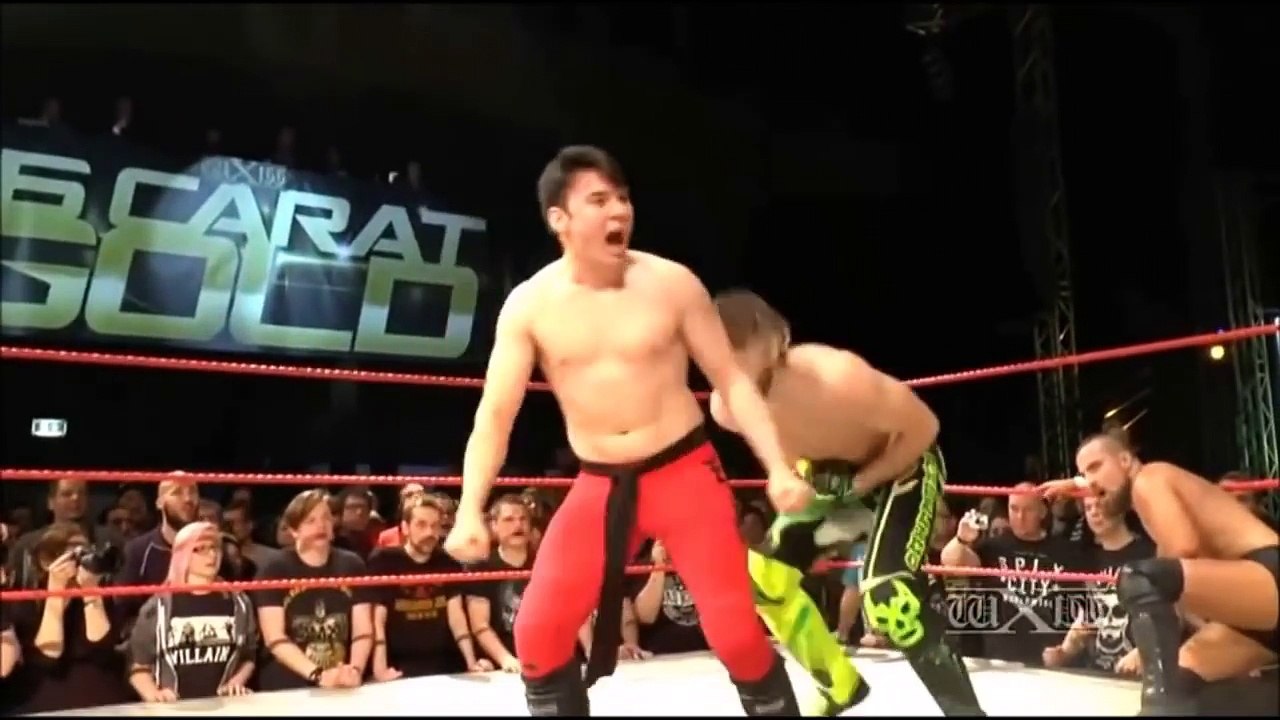 Best Wrestling Sequences (NJPWWWEETC.)