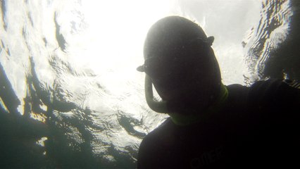 Mergulhando nas profundezas, águas interiores, rios e mares, cavernas submarinas, Ubatuba, Natureza Sub, (3)