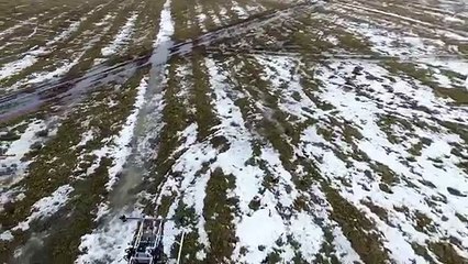 Хроники Командора