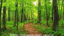 528Hz - DNA healing (music, vibration, noise, sound, frequency)