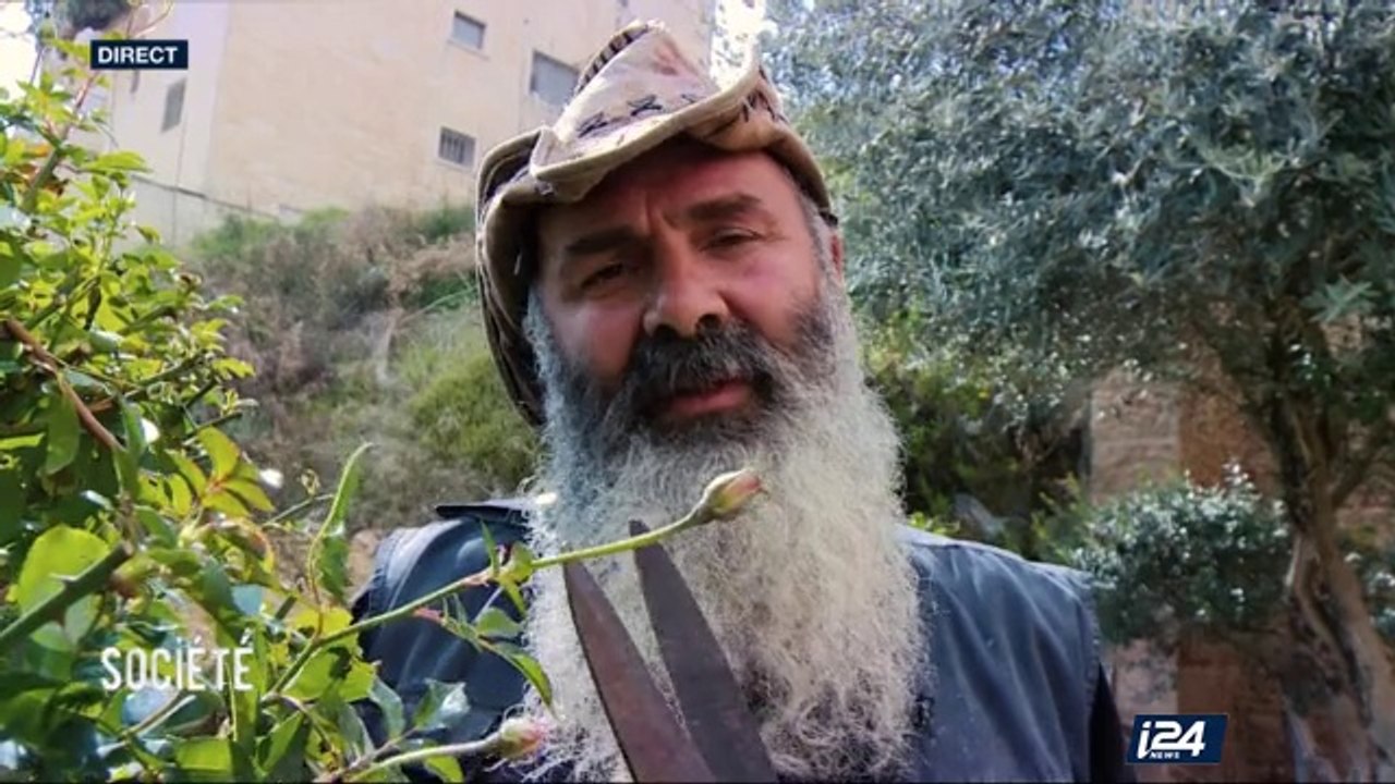 Jardinage : la taille des rosiers, étape essentielle pour la floraison