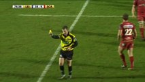 Rugby : l'arbitre Nigel Owens donne un carton jaune à un ramasseur de balles