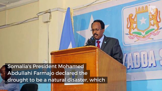 Somalia drought leaves more than 100 dead in less than 48 hours