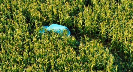 Elveda Berlin - Tschick (2016) Fragman