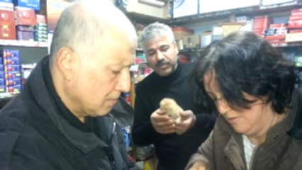 Yeni Doğmuş Kedileri Cami Avlusuna Bıraktılar