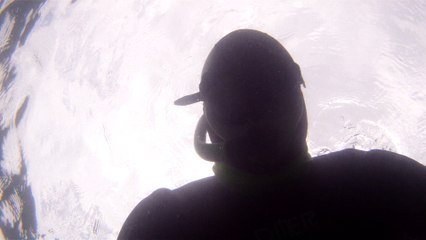 Mergulhando nas profundezas, águas interiores, rios e mares, cavernas submarinas, Ubatuba, Natureza Sub, (22)