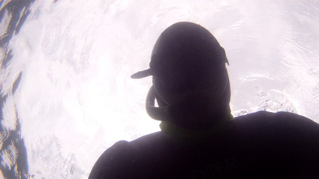 Mergulhando nas profundezas, águas interiores, rios e mares, cavernas submarinas, Ubatuba, Natureza Sub, (22)