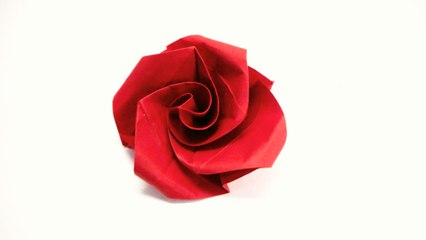 Origami Roses - Time Lapses