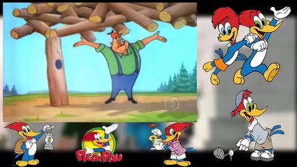 Pica-Pau-É-Madeira-Pra-Burro