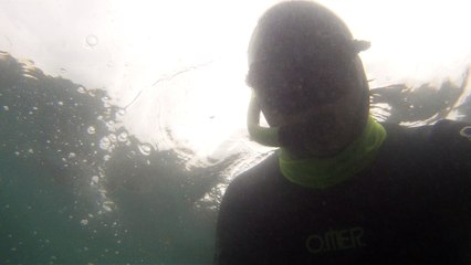 Mergulhando nas profundezas, águas interiores, rios e mares, cavernas submarinas, Ubatuba, Natureza Sub, (40)