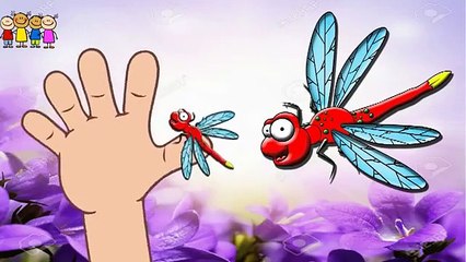 Baby Rhymes  melon-Gorilla Finger Family C