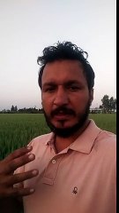 Lopo on Bhagwant Mann