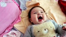 H, YOU LOSE - Cute BABIES Laughing Hysterically