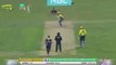 Iftikhar Ahmed Wicket - LBW Wicket by Rayad Emrit [112-6] - HBL PSL Final 2017 [HD]