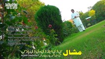 Pashto New Songs 2017 Album Da Sparli Badoona - Za Nawe Zawan Yem