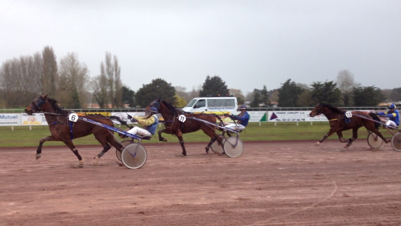 Courses à l'hippodrome