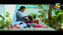 Kitni Girhein Baqi Hain Episode 19 - 5th March 2017