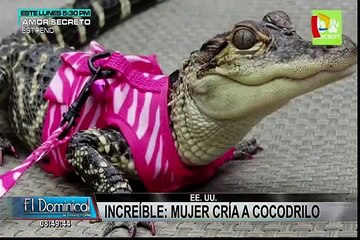 INSÓLITO: mujer cría cocodrilo como si fuera su propia hija