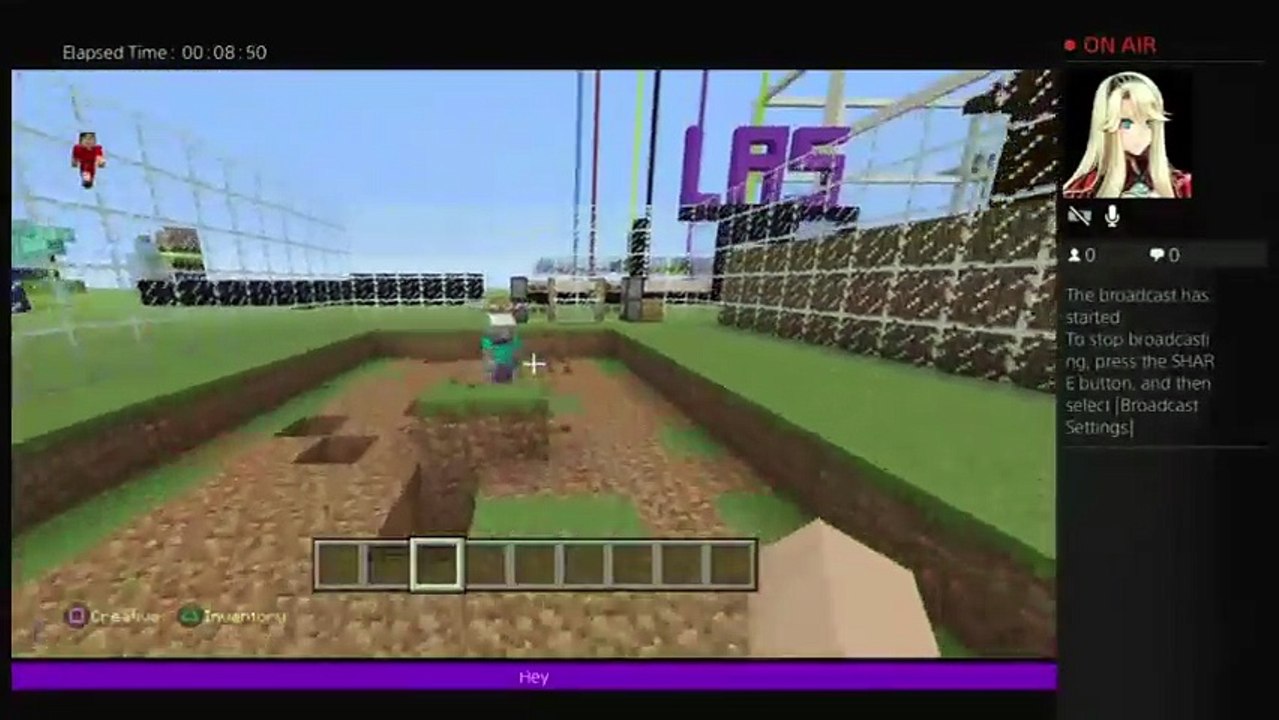 Mincraft fun (2)