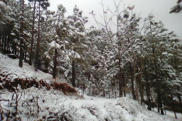 snow Fall in Kashmir
