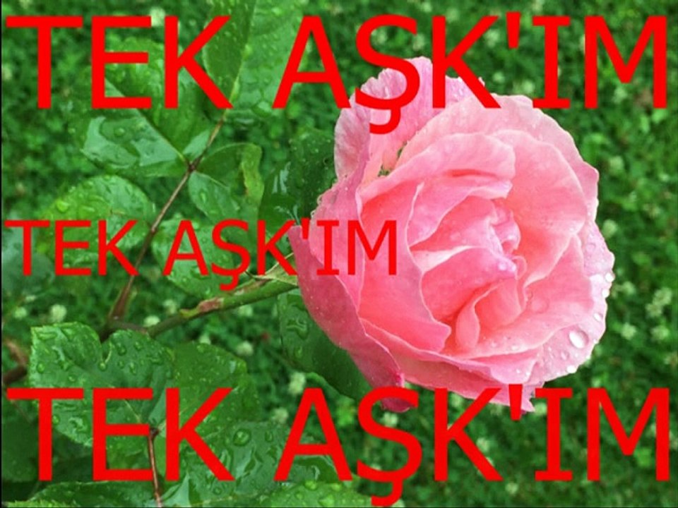 Şükran Ay-Çok geceler bekledim.Belki gelirsin diye.