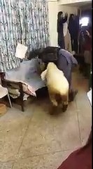 Really funny!!! Jitna marzi mar zalmi jitay ga