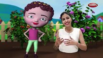 Chubby Cheeks Rhyme with Lyrics and Actions - English Nursery Rhymes Cartoon Animation Son