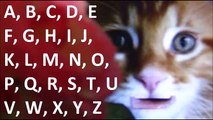 Abc Canción | Aprendizaje Alfabetos | Rimas | Canción Infantil | Bebé Rimas