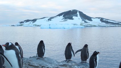 La Antártida, un importante regulador del clima del planeta