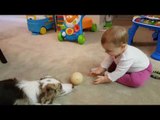 Cute Baby Plays Catch With Her Puppy Pal