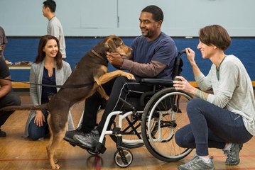 MOVIé!![[ＨＤ™]] ~A Dog's Way Home (2019) FullMovie Watch online free
