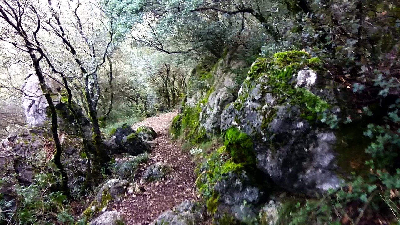 El Torreon