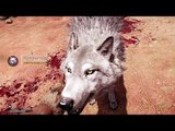 FAR CRY PRIMAL - Le mode Survivant [Gameplay]