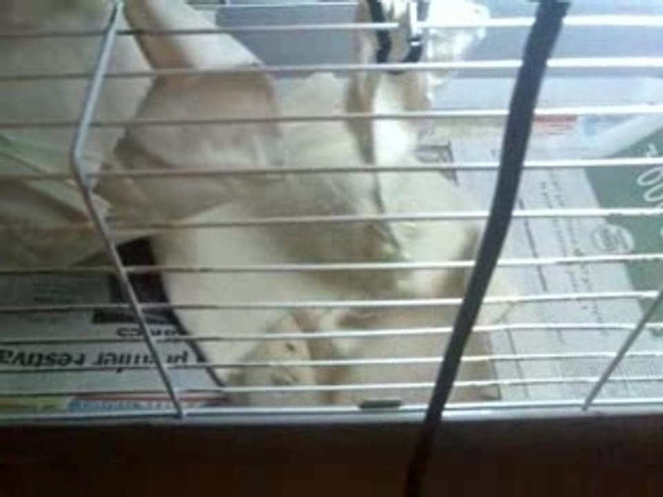 Vidéo002