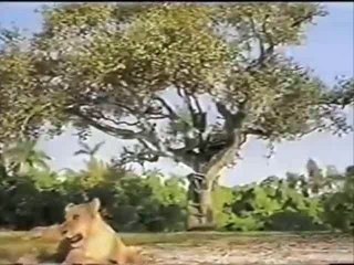 Propagandas antigas - Tang 1995