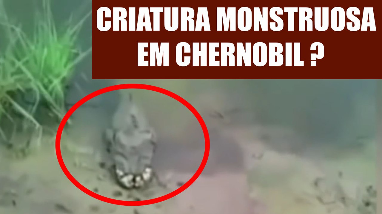 Criatura Monstruosa aparece em Chernobyl