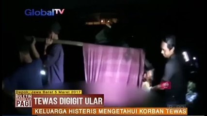 Pria di Depok Diduga Tewas Digigit Ular