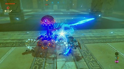 Zelda Breath of the Wild - Epreuve basique de force
