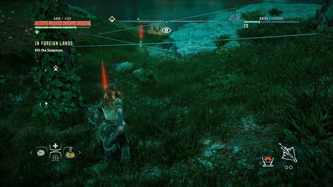 Hunter in training