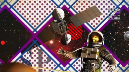 【珍獣ラーテル】ライオンやサイにさえ怯まない 頑強な体・強力な顎の力・驚異的な頭脳・最悪のオナラ